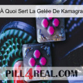 À Quoi Sert La Gelée De Kamagra 01